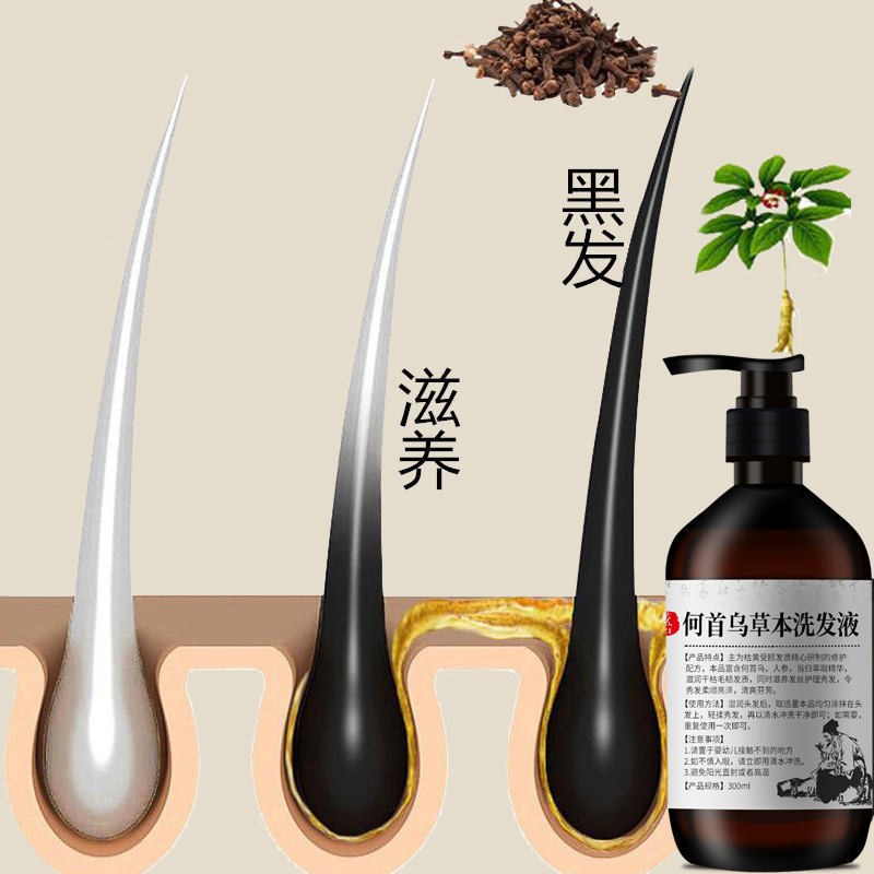 300 مللي شامبو بوليغونوم مولتي - مراجعة Hair Care Herbal وسعره
